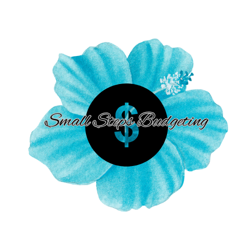 Small Steps Budgeting